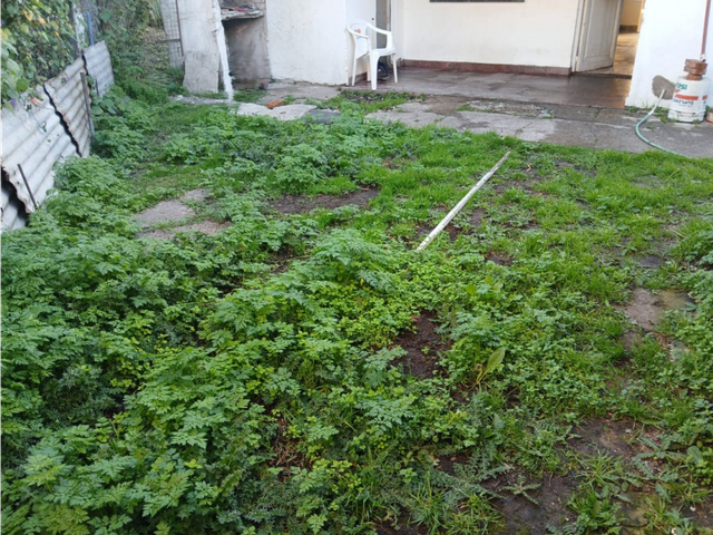place photo 25
