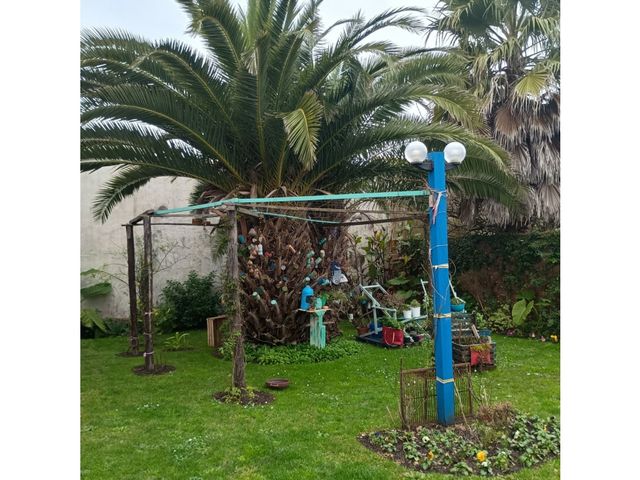 place photo 29