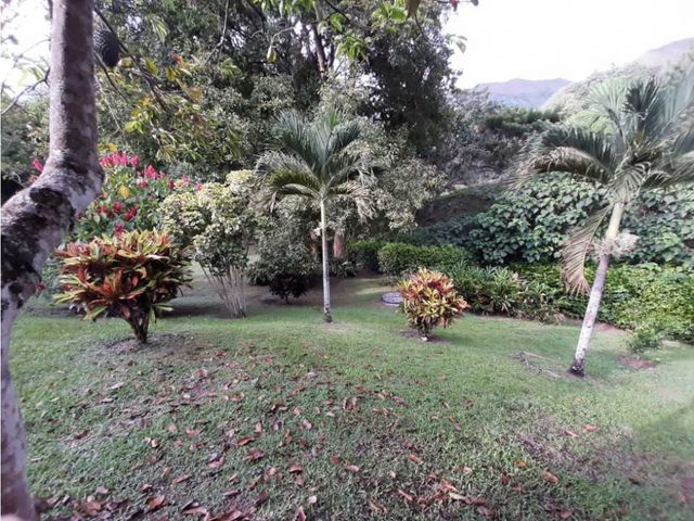 place photo 39
