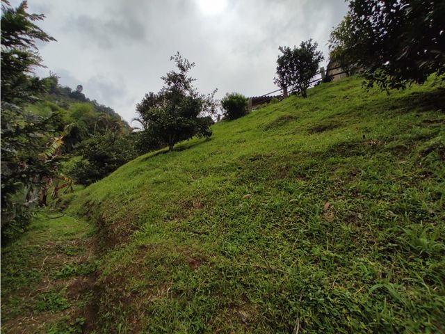 place photo 59
