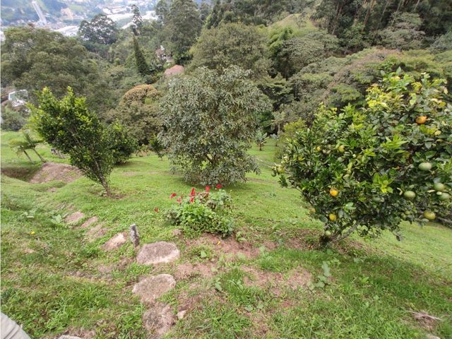 place photo 61