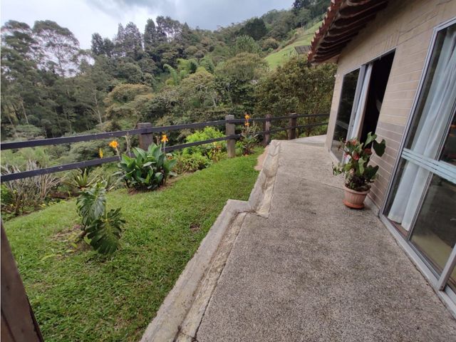 place photo 53