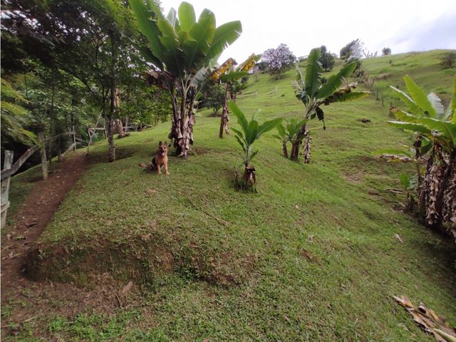 place photo 68