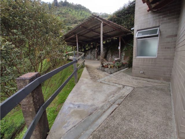 place photo 54