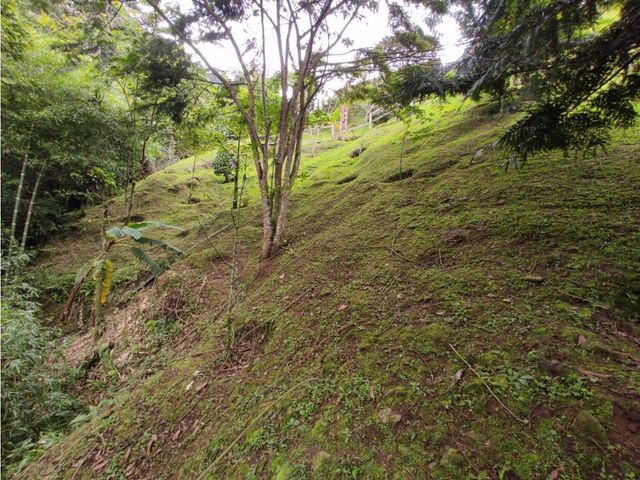 place photo 63