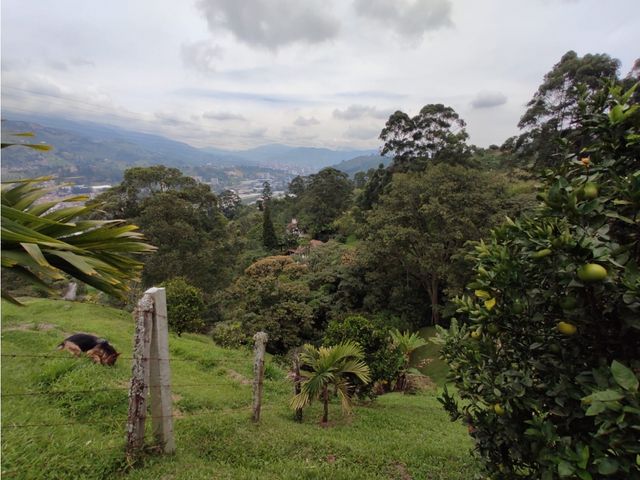 place photo 69