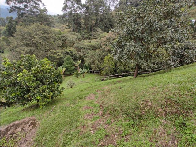 place photo 60
