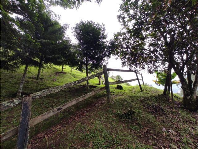 place photo 57