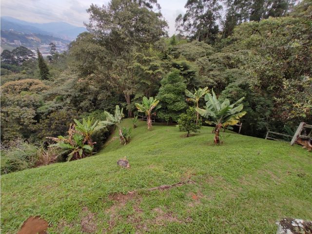 place photo 67