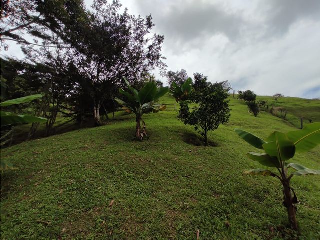 place photo 66
