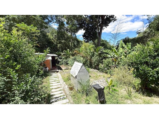 place photo 44