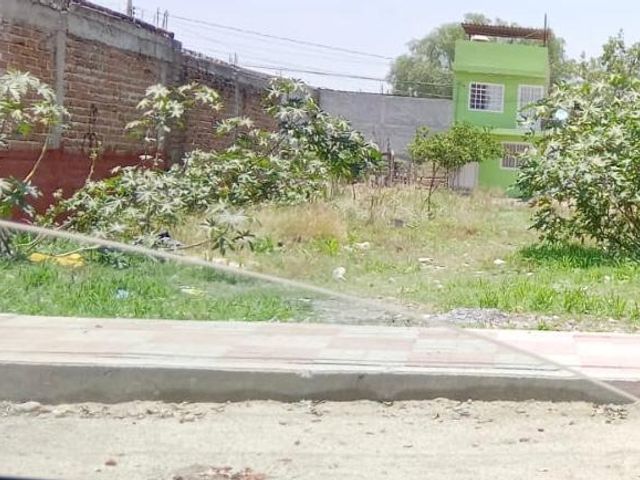 Terreno en  Venta col. Los Pinos Leon, Gto