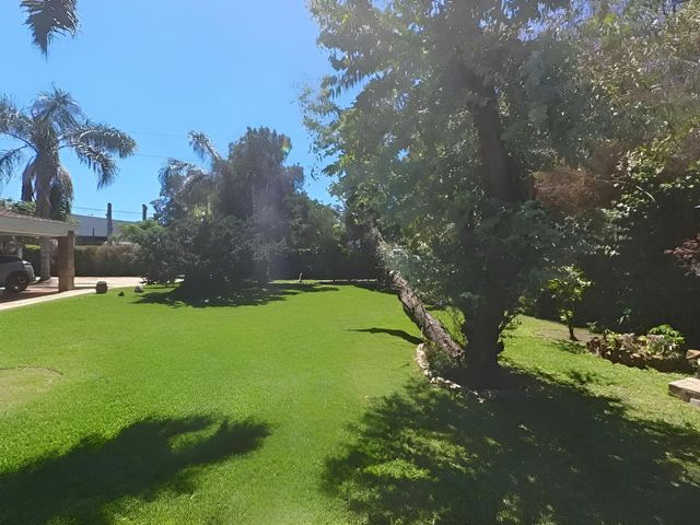 place photo 46