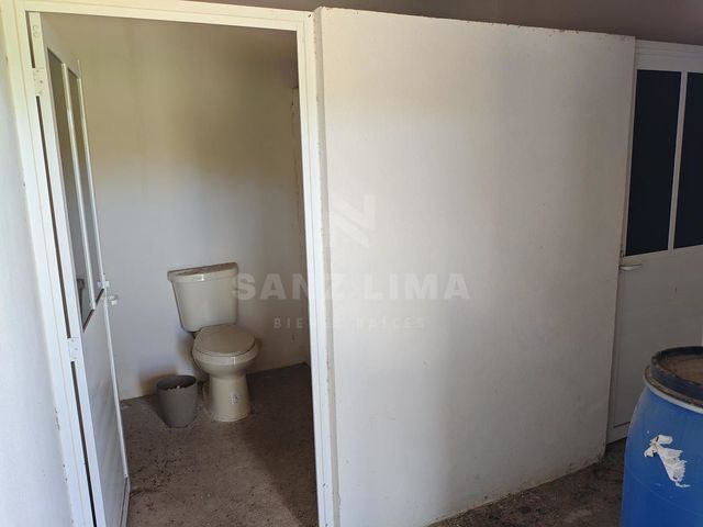 place photo 13