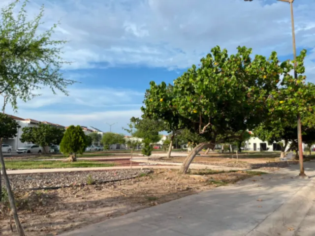 place photo 19