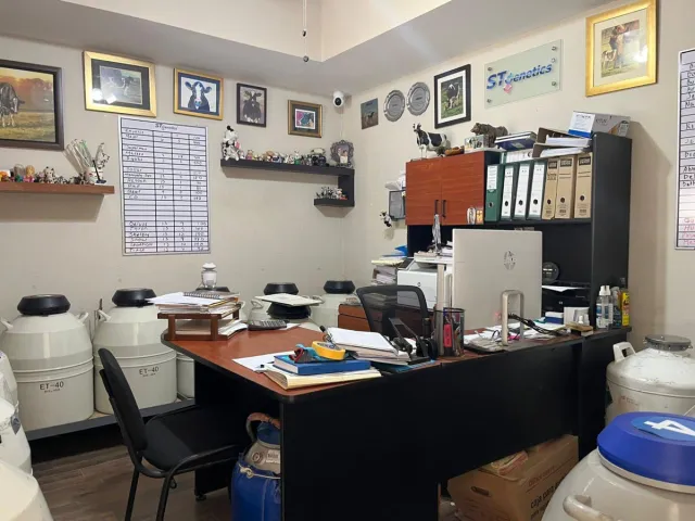 place photo 7