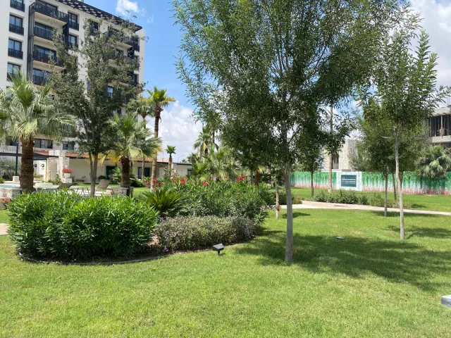place photo 37