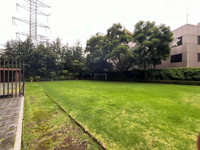 place photo 45