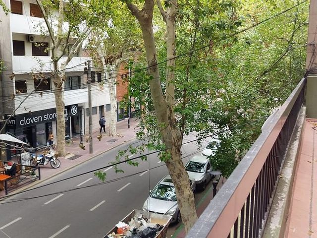 place photo 39
