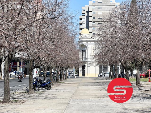 place photo 30