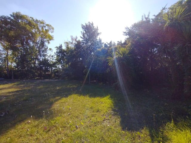 place photo 64