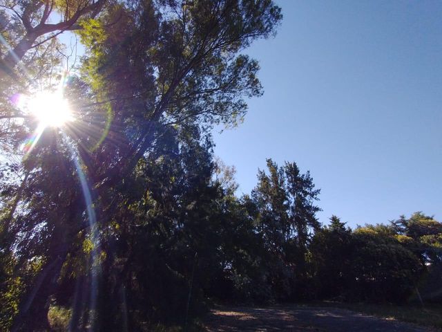 place photo 67