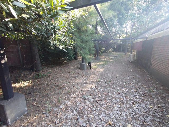 place photo 36