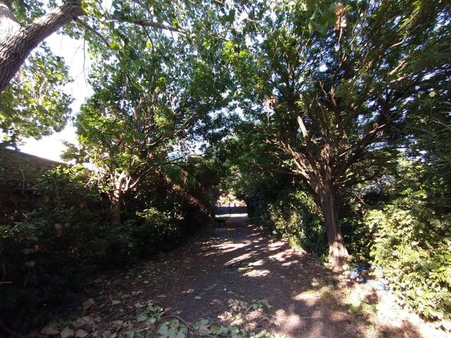 place photo 77