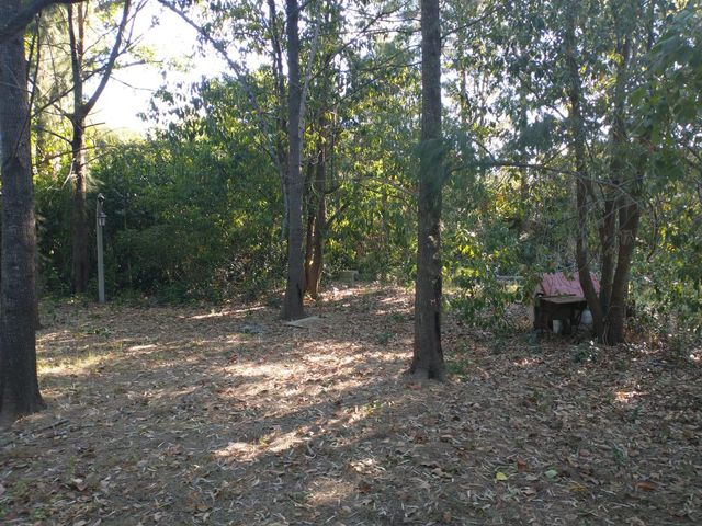 place photo 40