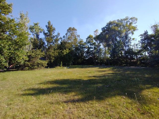 place photo 63