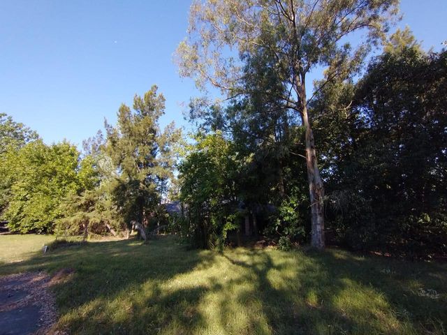 place photo 62