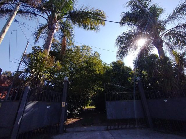 place photo 69