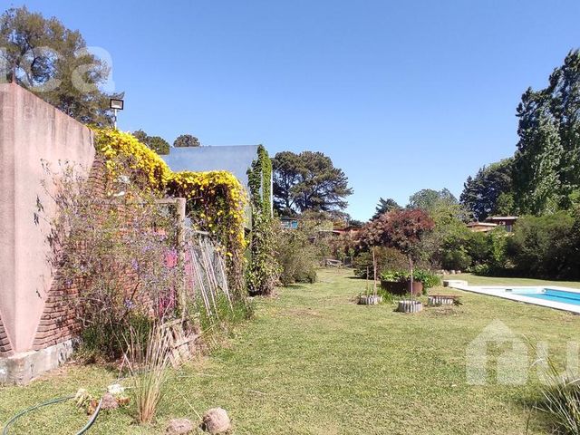 place photo 38