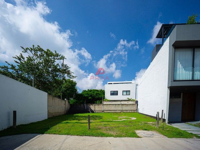place photo 27