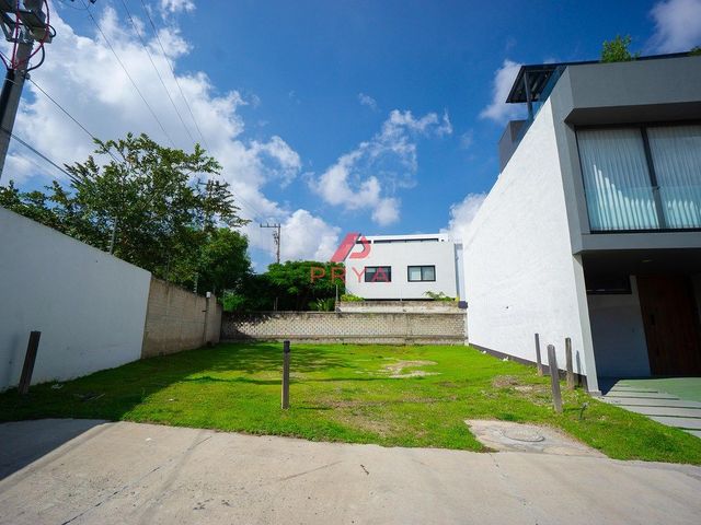 place photo 26