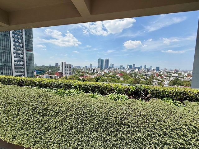 place photo 48