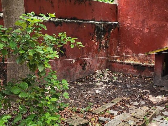 place photo 37