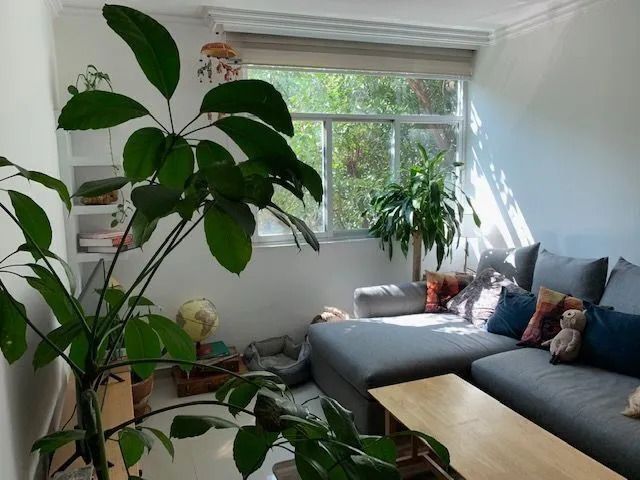 place photo 19