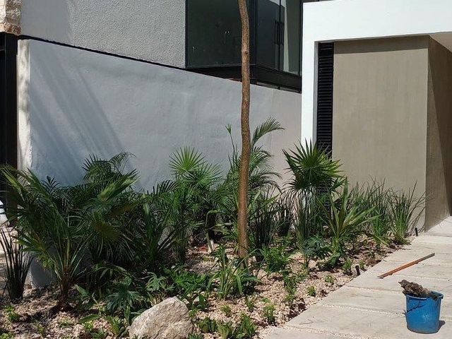 place photo 33