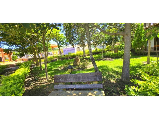 place photo 78