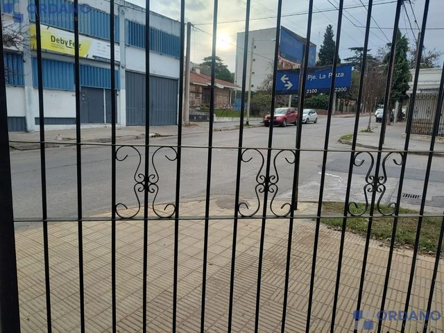 place photo 15