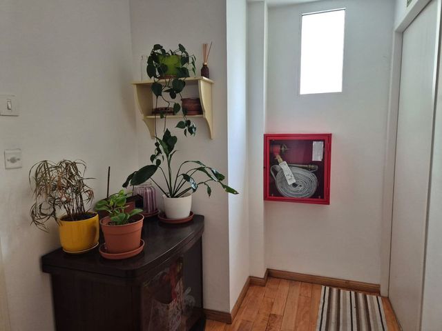 place photo 34