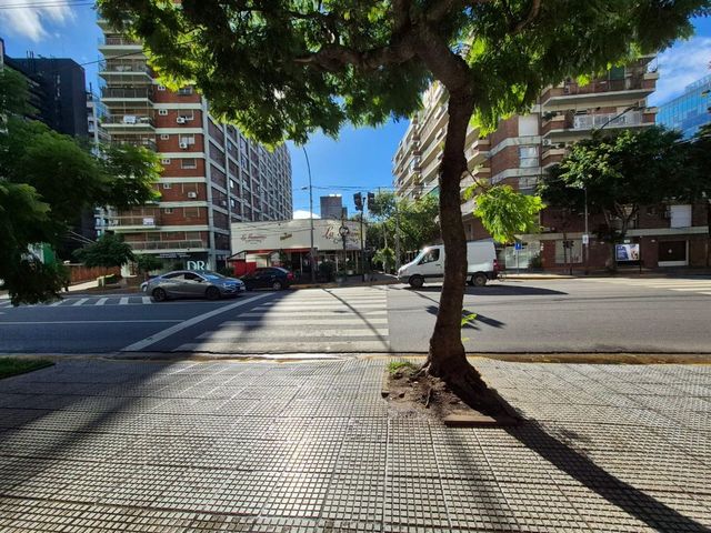 place photo 23