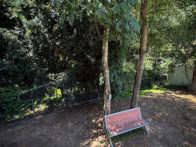 place photo 38