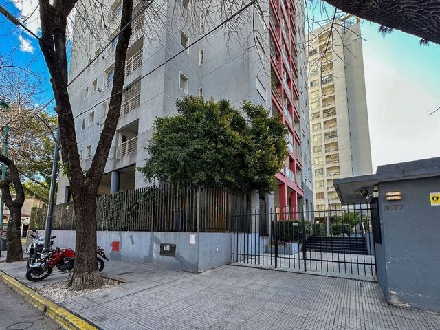 place photo 17