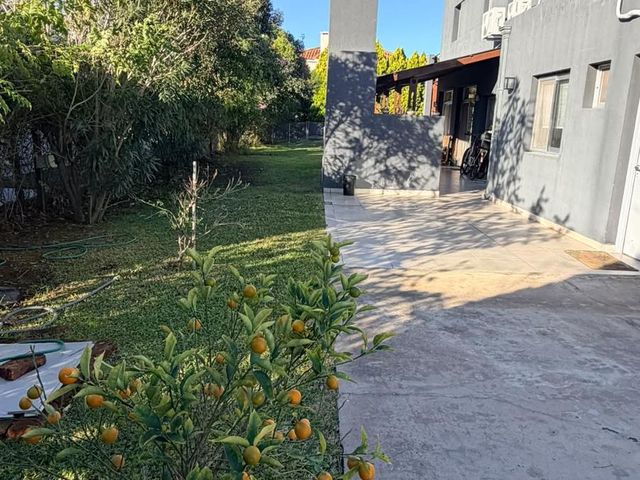 place photo 37