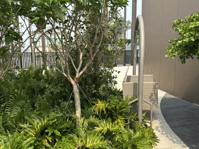 place photo 38