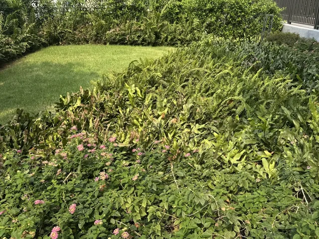 place photo 41
