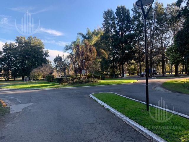 place photo 46