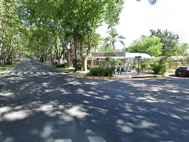place photo 20